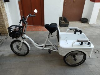 Triciclo Eléctrico con Asiento y Cajón