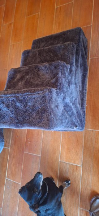 Escalera para perros PawHut gris y morado