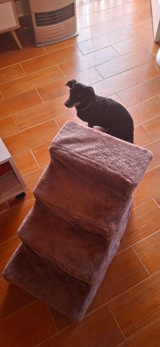 Escalera para perros PawHut gris y morado