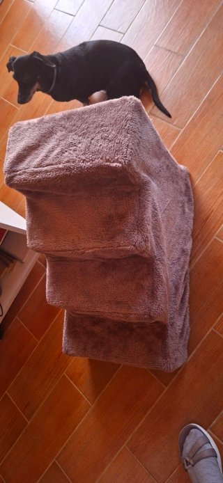Escalera para perros PawHut gris y morado