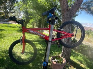 Bicicleta California 18 Niños 6-9 años