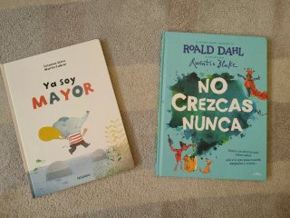 Lote libros infantiles ilustrados
