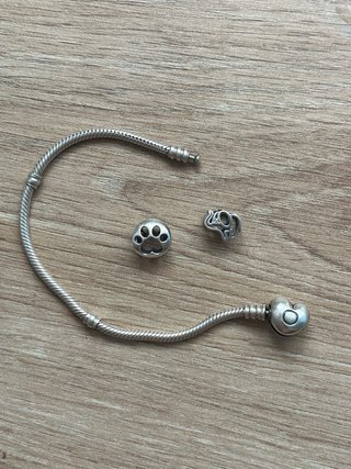 Pulsera Pandora Plata Ley + 2 Charms