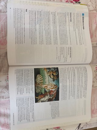 Lengua castellana y literatura 1 Bachillerato