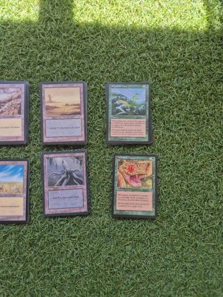Cartas Magic: The Gathering