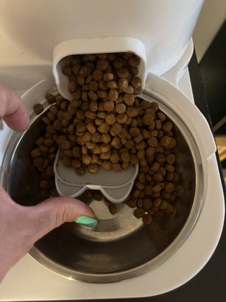 Comedero y bebedero para gato