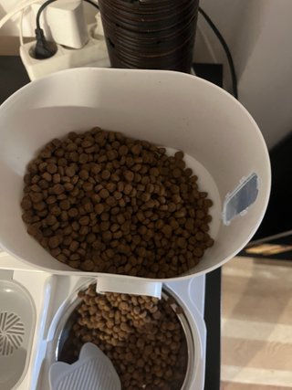 Comedero y bebedero para gato