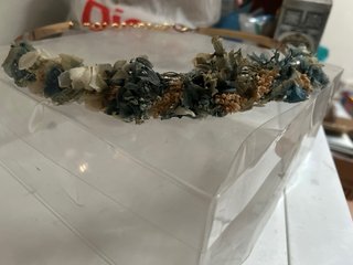 Cinturón flores preservadas.