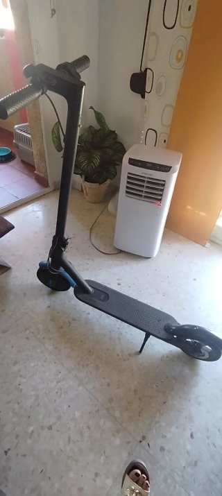 Patinete Eléctrico Xiaomi