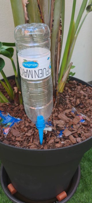Riego automático para plantas. 6 unidades.