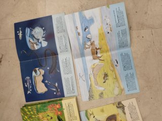 Colección Libros Infantiles: "Mira La Naturaleza"
