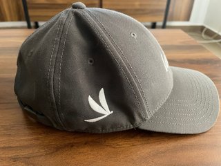 Gorra The North Face Gris