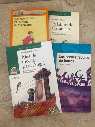 Lote de libros de lectura