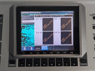 Roland Fantom X6 Teclado Sintetizador