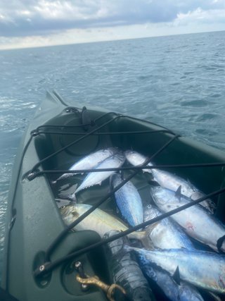 Kayak pesca Ocean Kayak Prowler 13 con extras
