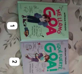 Libros de la saga" Me llamo Goa "