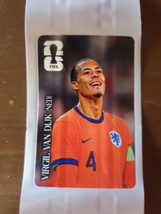 Cromo Mundial Van Dijk (NED) FIFA