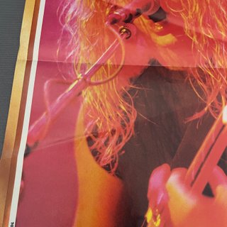 Póster METALLICA James Hetfield Popular 1 40x27cm