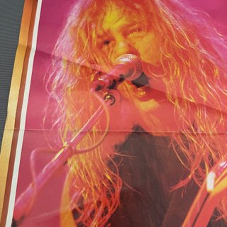 Póster METALLICA James Hetfield Popular 1 40x27cm