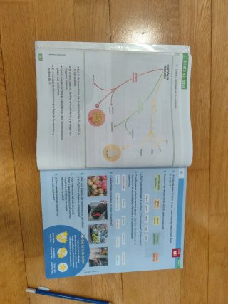 Ciencias de la Naturaleza, 4 Educación Primaria