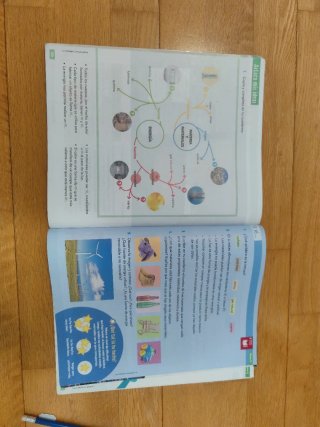 Ciencias de la Naturaleza, 4 Educación Primaria