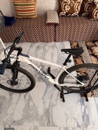 Megamo Factory 29”
