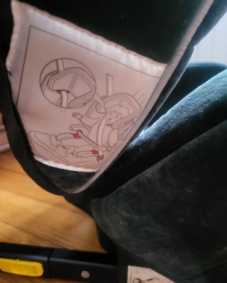 Silla coche Recaro Monza Nova Isofix