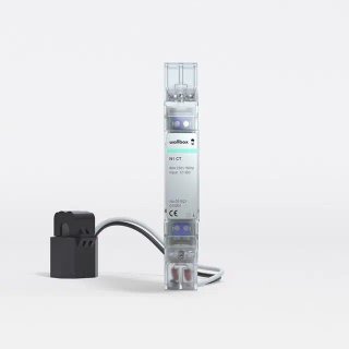 Wallbox Plus con Cargador Carga Dinámica R:0051.1