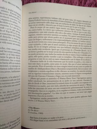 Bruce Springsteen: Más Duro Que Los Demás.