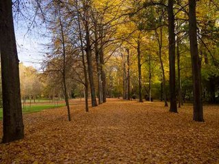 Piso en venta en Foso - Moreras en Aranjuez