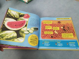Mi primer gran libro de bichos