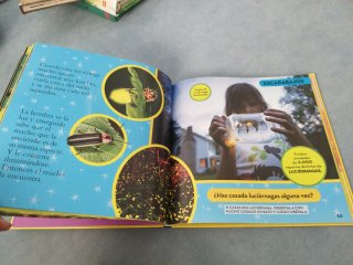 Mi primer gran libro de bichos
