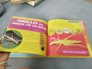 Mi primer gran libro de bichos