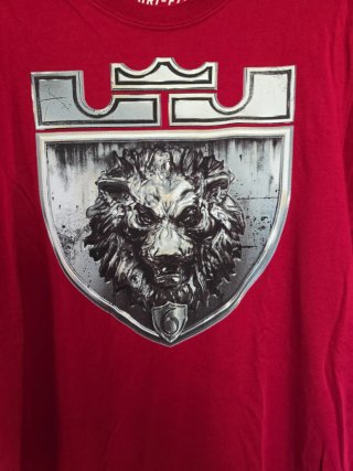 Camiseta Nike Lebron James Talla S