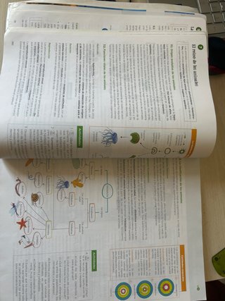 Biología, Geología y Ciencias Ambientales 1 Bac...