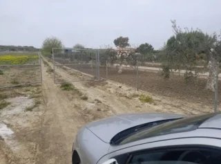 1000m² EN OLIVARES OFERTON EN SEVILLA