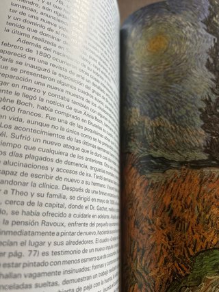 Vincent Van Gogh, 1853-1890: vision y realidad
