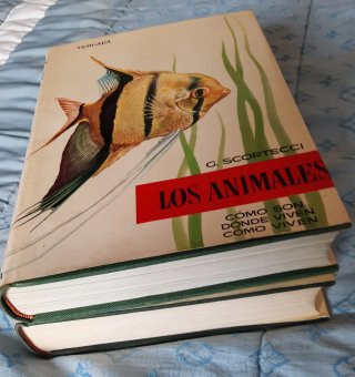 Los Animales: Cómo son, dónde viven, cómo viven.