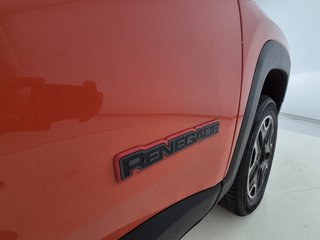 Jeep Renegade Trailhawnk 2.0 170cv 4x4