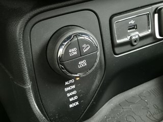 Jeep Renegade Trailhawnk 2.0 170cv 4x4