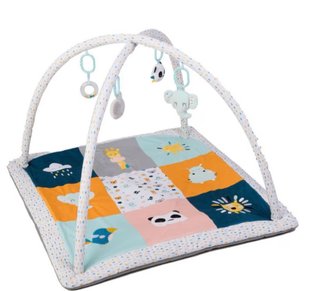 Gimnasio y Alfombra de Juegos para Bebé + Regalo!