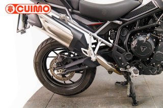 TRIUMPH TIGER 900 GT PRO