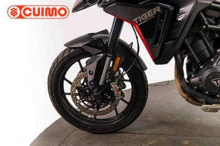 TRIUMPH TIGER 900 GT PRO