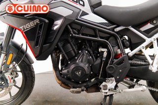 TRIUMPH TIGER 900 GT PRO