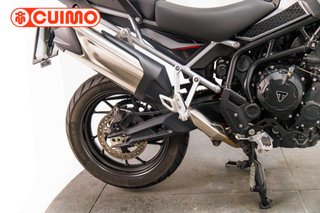 TRIUMPH TIGER 900 GT PRO