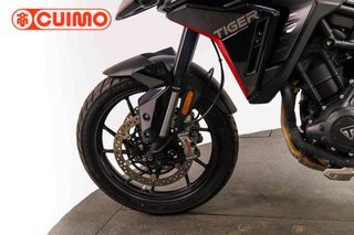 TRIUMPH TIGER 900 GT PRO