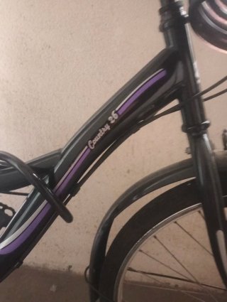 Bicicleta Paseo con Portaequipajes Trasero