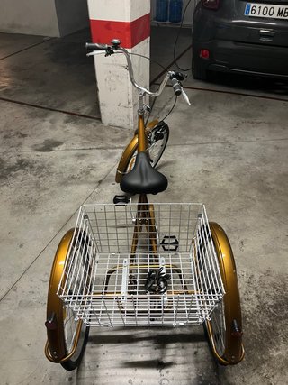 Triciclo Dorado con Cesta Trasera