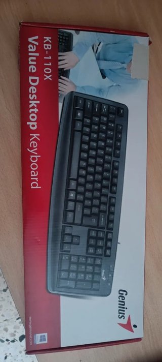 Teclado Genius KB-110X