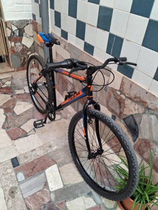 Bicicleta de paseo TEAM